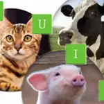 animal quiz
