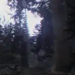 dont scream