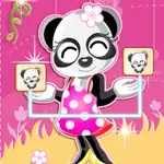dream pet link