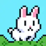 poor bunny
