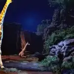 zoochosis